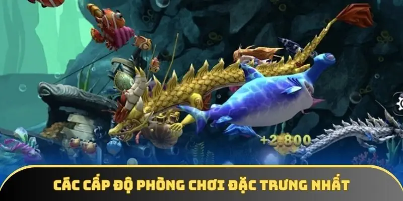 Các cấp độ phòng chơi đặc trưng nhất