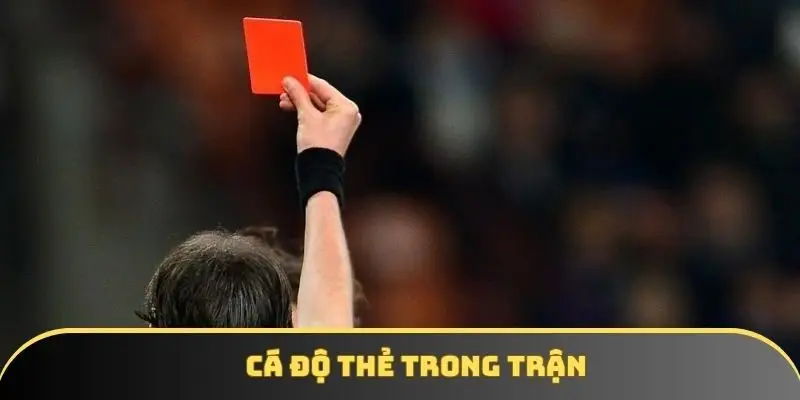 Cá độ thẻ trong trận | Khái niệm tới bí quyết chơi đỉnh cao