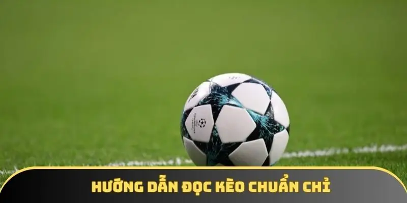 Cách đọc cược tỷ số được các chuyên gia tin tưởng áp dụng