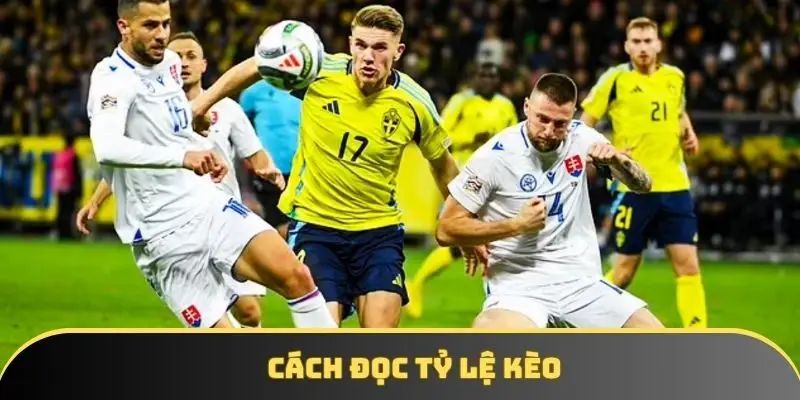 Cách đọc tỷ lệ kèo: Hướng dẫn toàn diện dành cho bet thủ