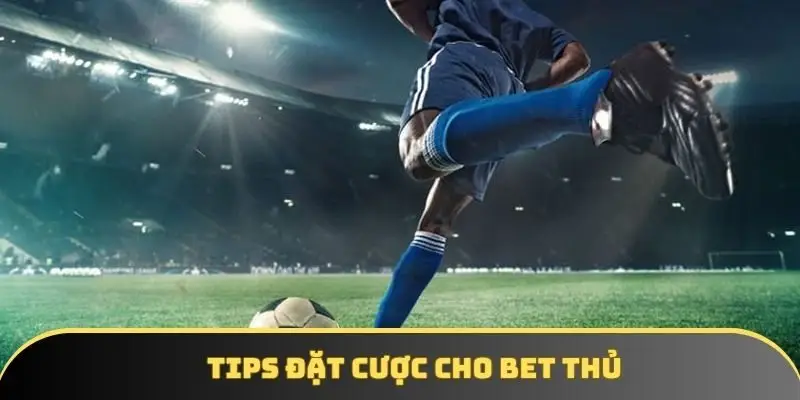 Tips đặt cược cho bet thủ