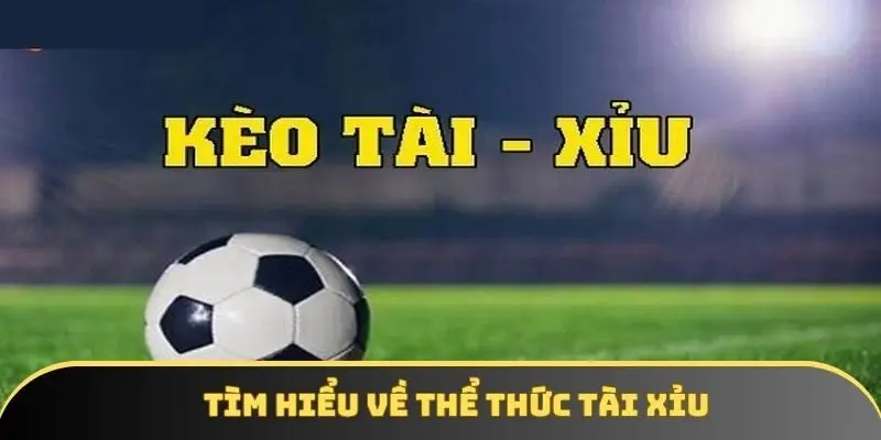 Tìm hiểu về thể thức Tài Xỉu