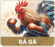 đá gà 5mb