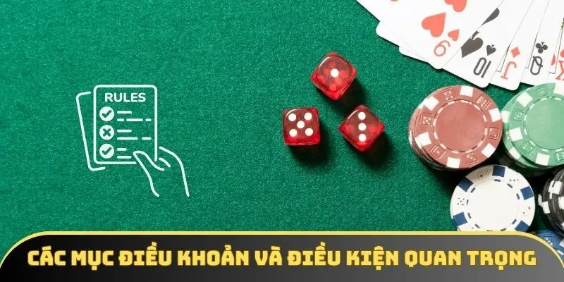 Các mục điều khoản và điều kiện quan trọng cần nắm