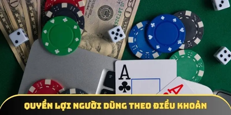 Quyền lợi người dùng theo điều khoản và điều kiện của 5MB