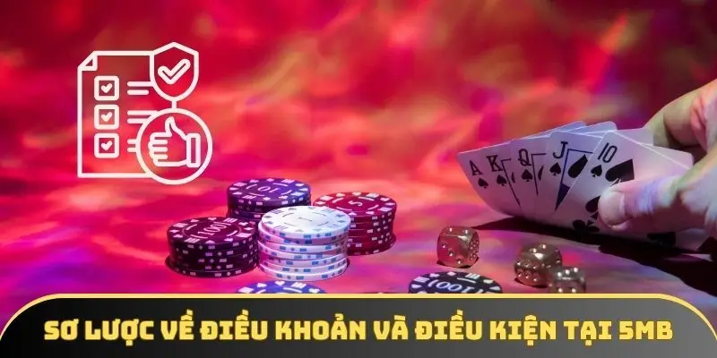 Sơ lược về các điều khoản và điều kiện tại 5MB