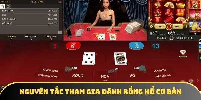 Nguyên tắc tham gia đánh Rồng Hổ cơ bản