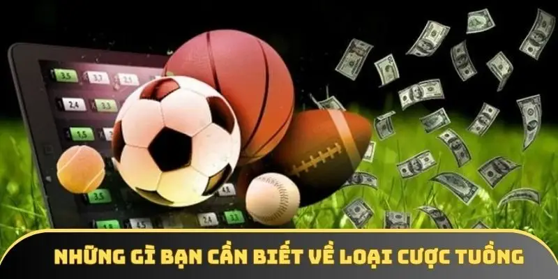 Những gì bạn cần biết về loại cược tuồng