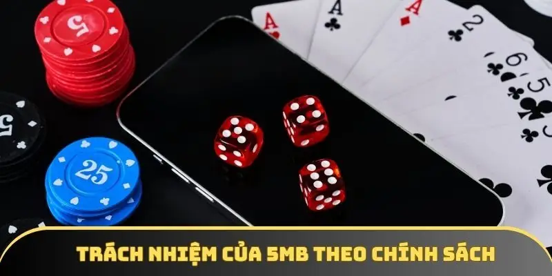 Trách nhiệm của 5MB theo chính sách